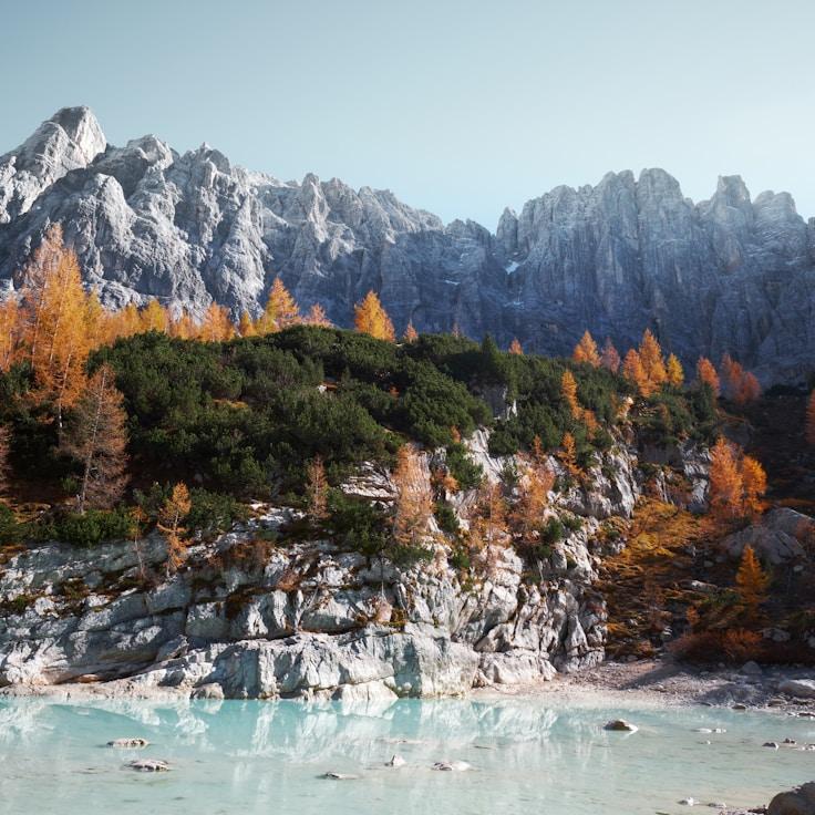 Protected areas overview